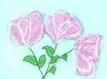 lalele roz