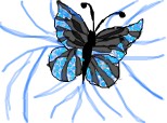 butterfly
