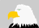 my eagle