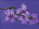 Desen 24902 modificat:flori