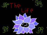 floarea  vietii