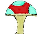 Ciuperca