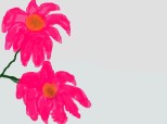 floricele roz:X