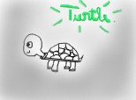 Turtle.