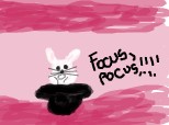 focus pocus!!:):!):)!:!):!)::X:X