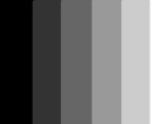 Negru-gri-alb