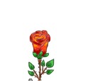 Desen 54432 continuat:trandafir