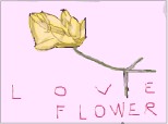 Love flower
