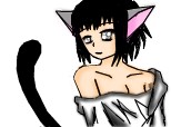 sexy anime kitty