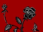 I love black roses