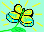 flowerfly