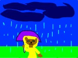 Ploua si un ursulet a iesit pe ploaie!