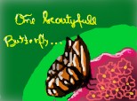 one beautyfull butterfly