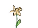 A simple flower