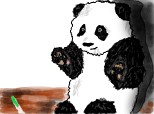 cel mai dragut ursulet panda