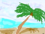 palmierul