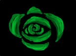 trandafir verde