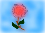 trandafir de la moldova..