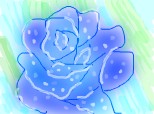 un trandafir albastru