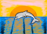 delfin in ocean