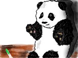 usuletul panda pe cale de disparitie