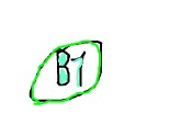 B1 Logo