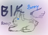 bik-bunny (PORCARIE!!!)