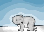 pui de ursulez polar