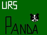 urs panda