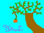 ,,Fruit  