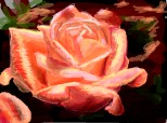 Trandafir roz
