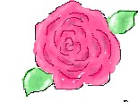 Just a...Rose:)