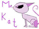 Mr.Kat